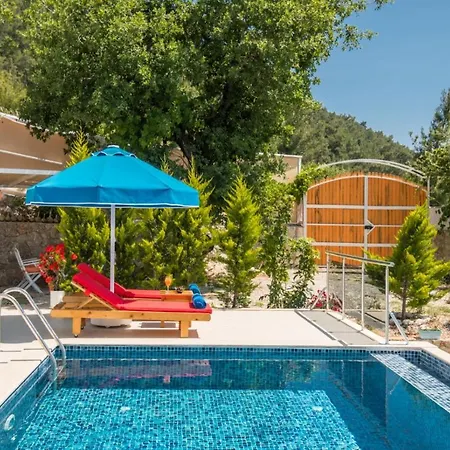 Panoramic Patara Beach View And Nature View Villa